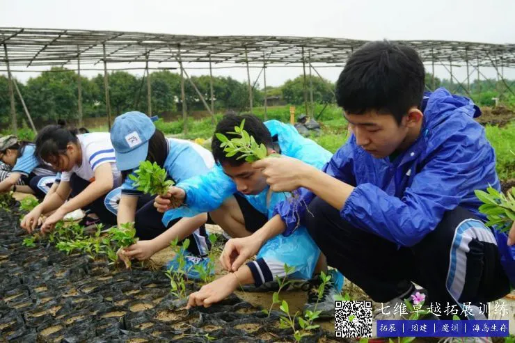 哪里可以找到适合青少年的篮球训练策略_2